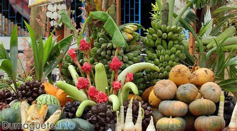 DILG and DOT at Organic Farmers Festival Opening - Dumaguete Info