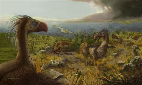 In South America, Phorusrhacus dominated the niche of large carnivores ...