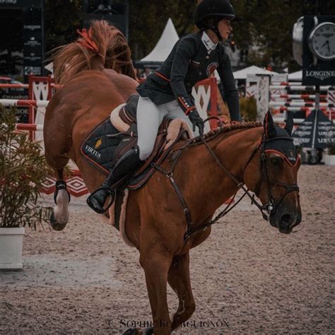 Horse aesthetic | Horse aesthetic, Horse love, Horse competition