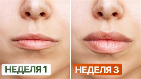 Сочные губки БЕЗ уколов и филлеров | 100% РЕЗУЛЬТАТ - ты будешь В ШОКЕ ...