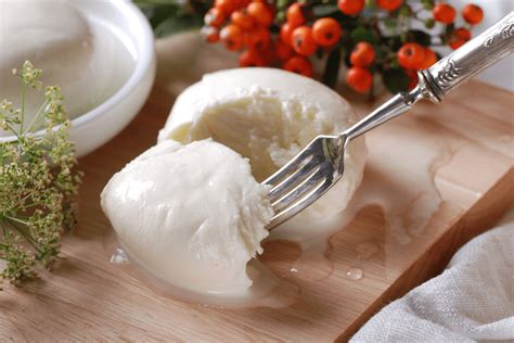 How To Use Fresh Mozzarella Cheese | Food For Net