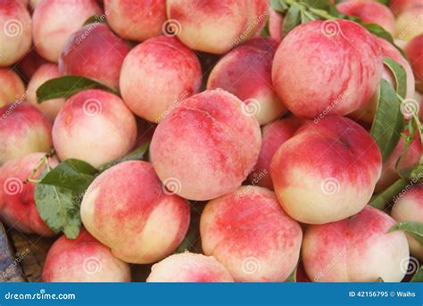 perzik stock afbeelding image  vrucht vers perzik