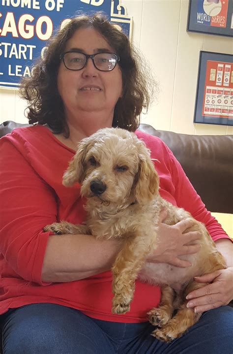 NorCal Poodle Rescue added a new photo. - NorCal Poodle Rescue