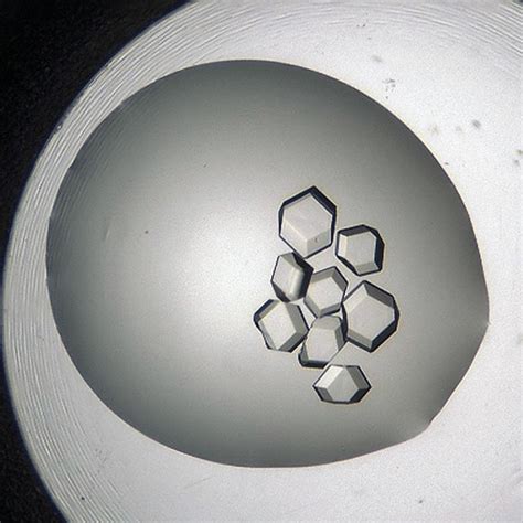 Protein Crystallization Automation and Software - FORMULATRIX®