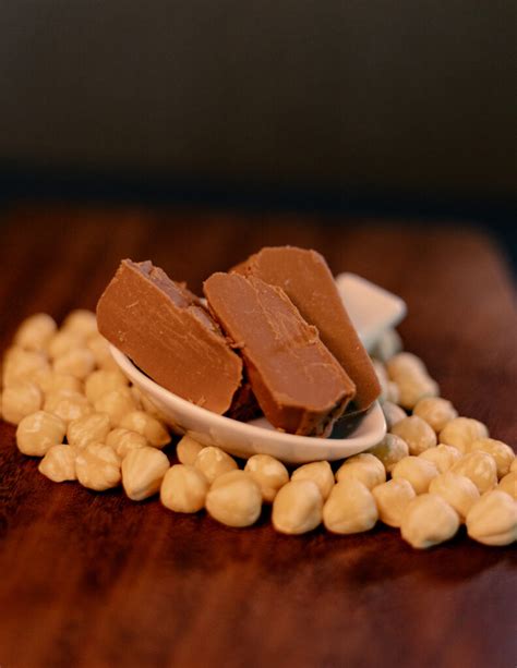 Gianduja [hazelnut chocolate] (473ml) - Smooth