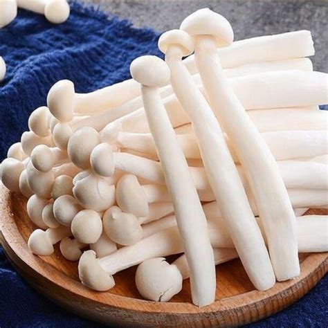 Jual Jamur Shimeji Putih/Coklat 150 gr | Shopee Indonesia