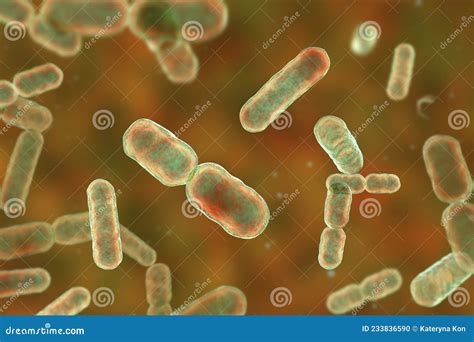 Bacteria Bacteroides Fragilis Stock Illustration - Illustration of ...
