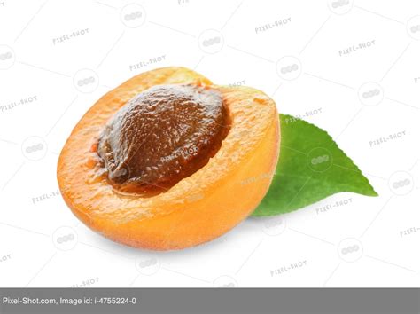 Абрикос на белом фоне - фото и картинки: 37 штук