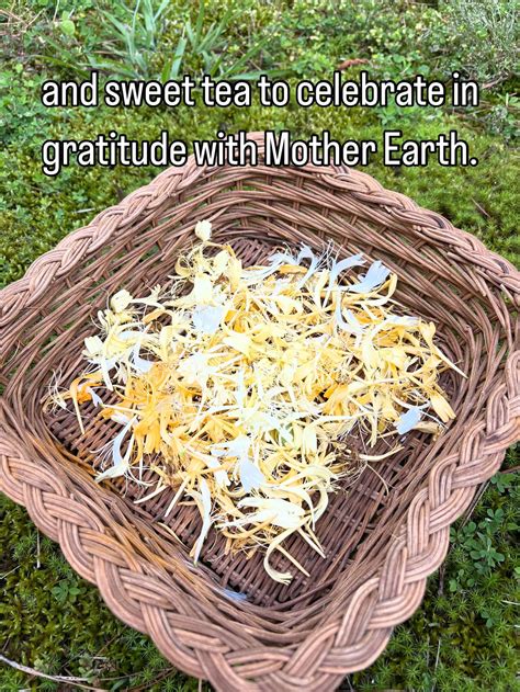 Your Calm Center, Jessica... - Your Calm Center, Jessica Hagy