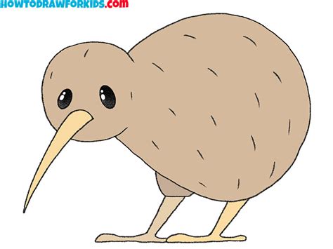 Birds Of Mystery: Uncover The 7 Steps To Drawing The Elusive Kiwi