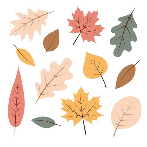 Autumn leaves set, isolated on white background. Autumn Leaf Design ...