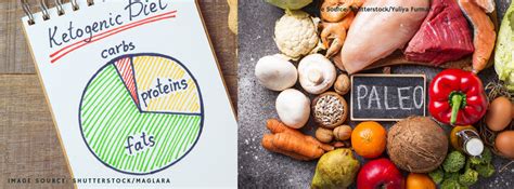 Ketogenic Diet vs. Paleo Diet: Which Diet is Better? - Yes2health4life