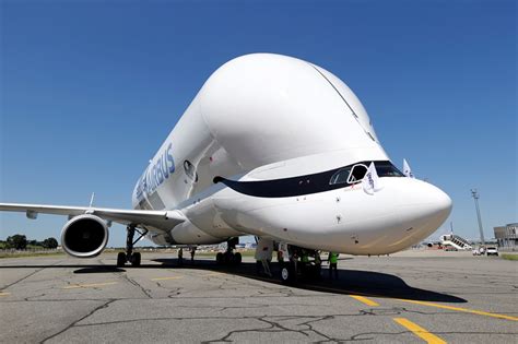 "Máy bay cá voi" Beluga XL Lần đầu cất cánh lên bầu trời!