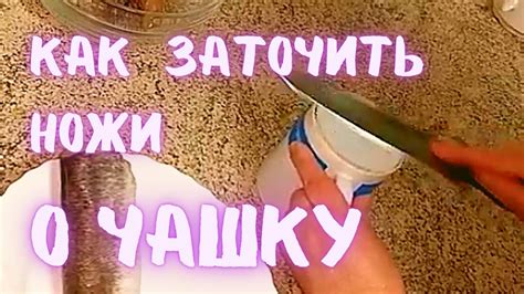 Как заточить ножи без специальных приспособлений в домашних условиях О ...