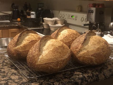 Can a starter made from commercial yeast develop the diversity of wild