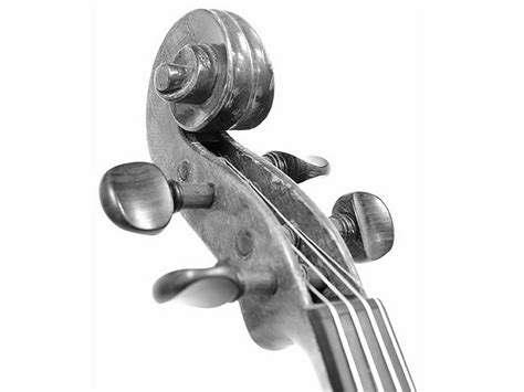 101 best images about Violin on Pinterest | The old, Still Life and ...