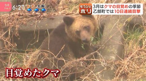今日ドキッ！｜HBC北海道放送