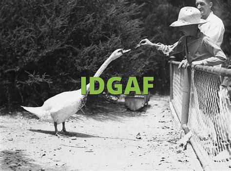 IDGAF Meaning » Slang.org