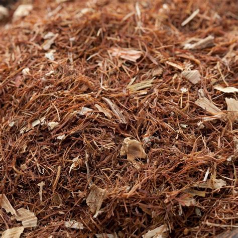 corn silk magical properties  fertility protection aromags