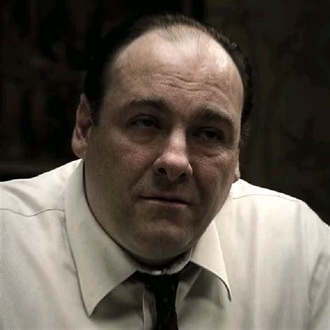 توني سبرانو Tony Soprano | Pretty movie, Good movies to watch, Tony soprano