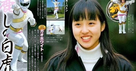 Super Sentai Girls From Gaoranger Up To Zyuohger