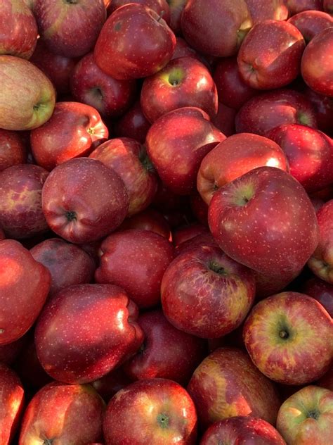 types  apples      artofit