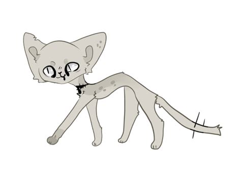 Art strange cat by Toiska on DeviantArt