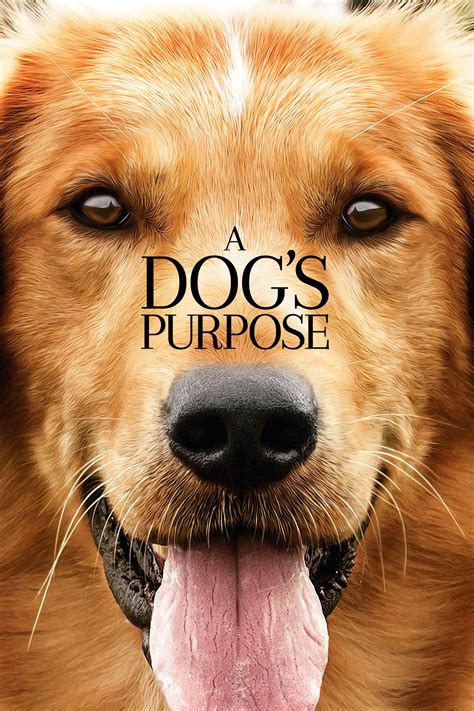A Dog's Purpose (2017) | The Poster Database (TPDb)