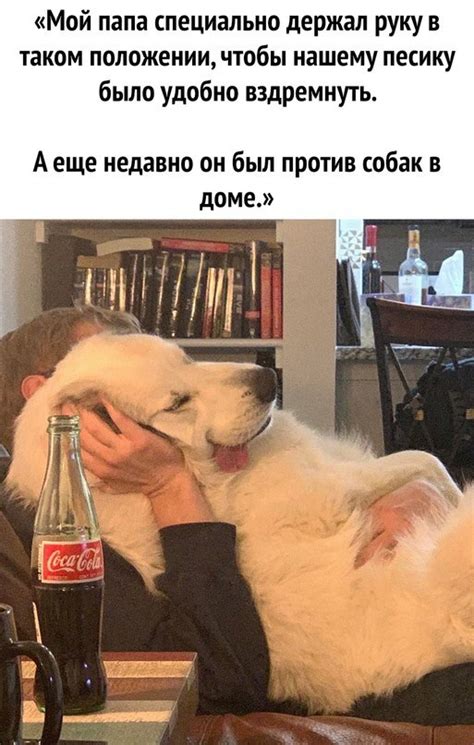 Забота | Пикабу