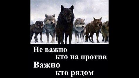 Волк внутри нас - YouTube