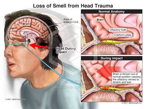 Inside the Courtroom: The Impact of Justice Department Testimony