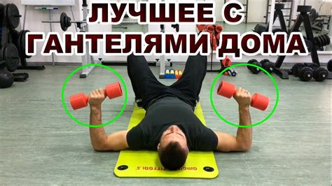 ЛУЧШИЕ УПРАЖНЕНИЯ С ГАНТЕЛЯМИ В ДОМАШНИХ УСЛОВИЯХ. Комплекс упражнений ...