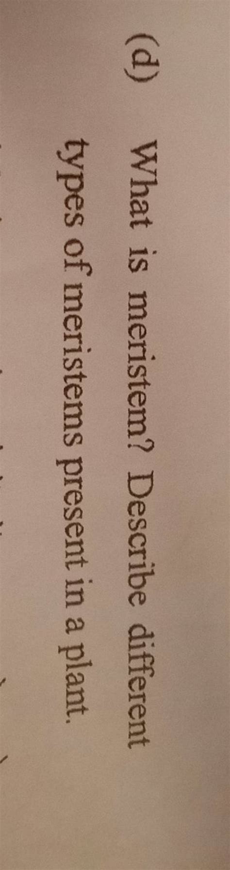 (d) What is meristem? Describe different types of meristems present in a