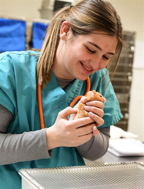 Eastern Wyoming College | Wyoming Community College Commission