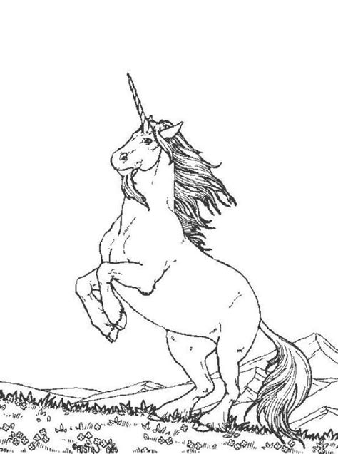 Kids-n-fun.com | Coloring page Eenhoorn Eenhoorn