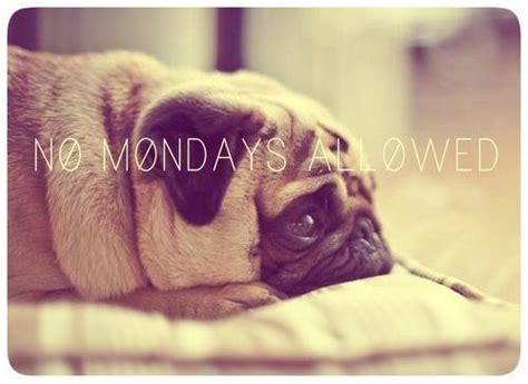 monday olipavar sangam