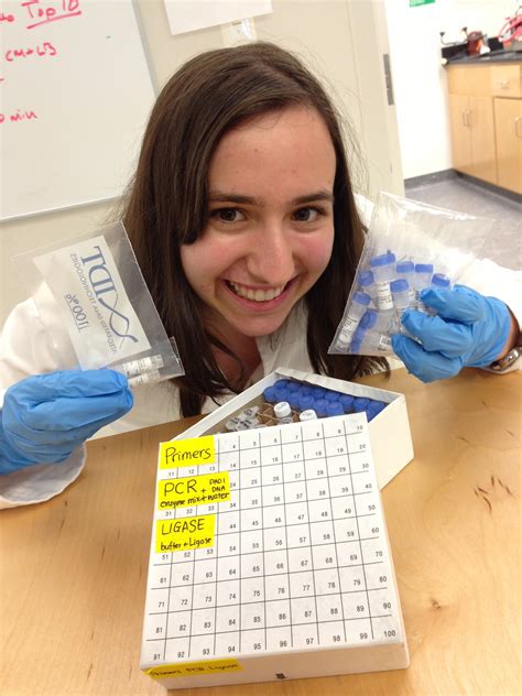 College counselors explain when does uiuc ea come out every year 7