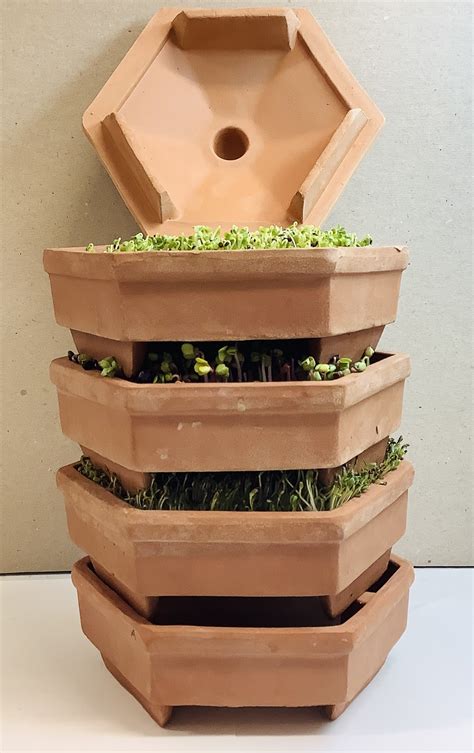 Geo Terracotta 4-Tier Sprouting Tower - Mumm's Sprouting Seeds