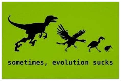 When Evolution Goes Wrong (22 pics)