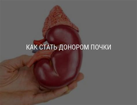 Как продать почку: можно ли стать донором за деньги, законы, правила
