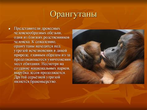 Животные, занесенные в красную книгу - презентация онлайн