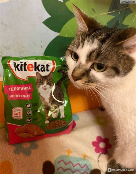 Корм для кошек Kitekat Сухой Телятина аппетитная - «Китекет нас ...