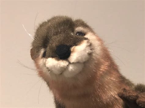 ramone callum akehurst ryans testing blog