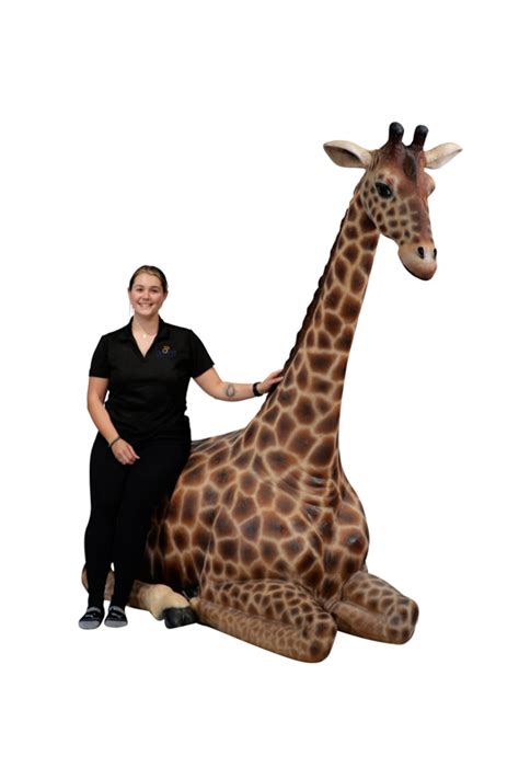 Life-size Sitting Giraffe - Event Décor And Prop Rental