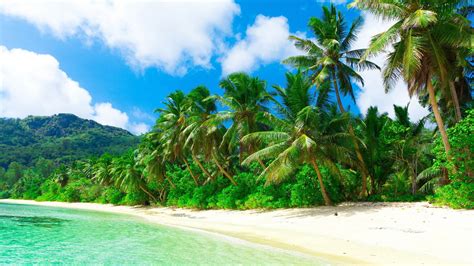Nature Tropical HD Wallpaper