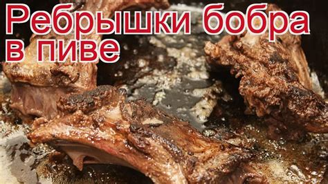 Рецепты из бобра - как приготовить бобра пошаговый рецепт на 6 ...