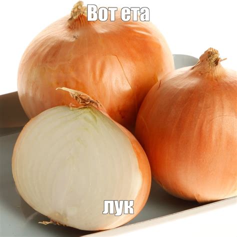 Создать мем "лук севок, лук, лук крупный" - Картинки - Meme-arsenal.com