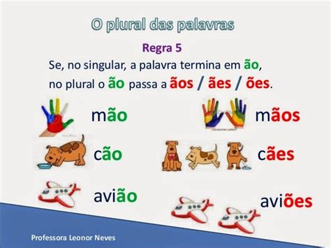 Qual É O Plural De Cão