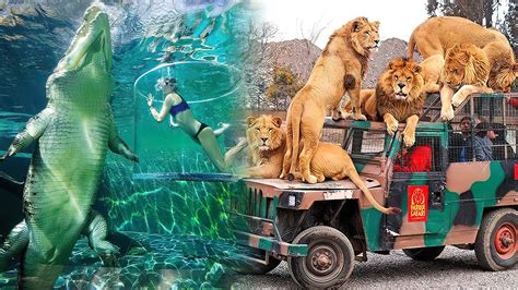 The Most AMAZING ZOOS In The World | The best zoos you have to visit ...