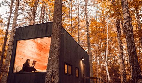 cute cabins  floor  ceiling windows  coming  starved